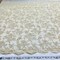 1 Yard Elegant Beaded Lace Fabric Embroidered on 100% Polyester Net Mesh Ivory with Gold 54" Width